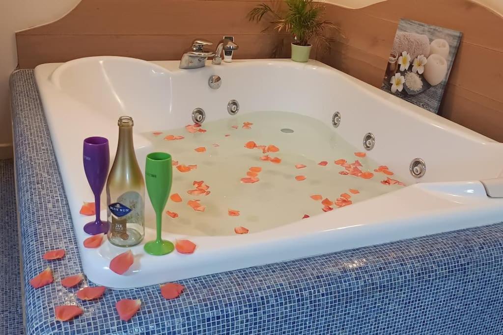 Central Terrace Escape With Jacuzzi Timisoara Exterior foto