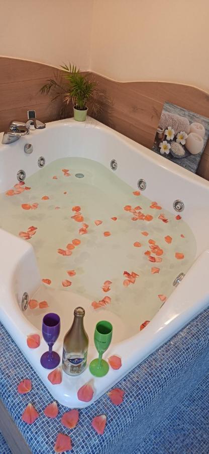 Central Terrace Escape With Jacuzzi Timisoara Exterior foto