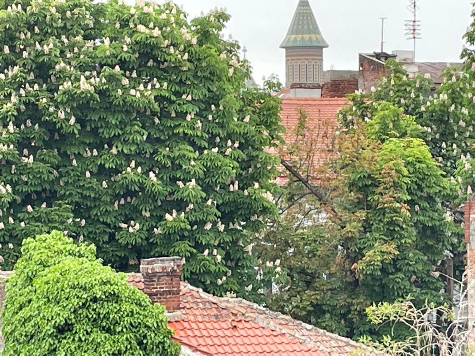 Central Terrace Escape With Jacuzzi Timisoara Exterior foto