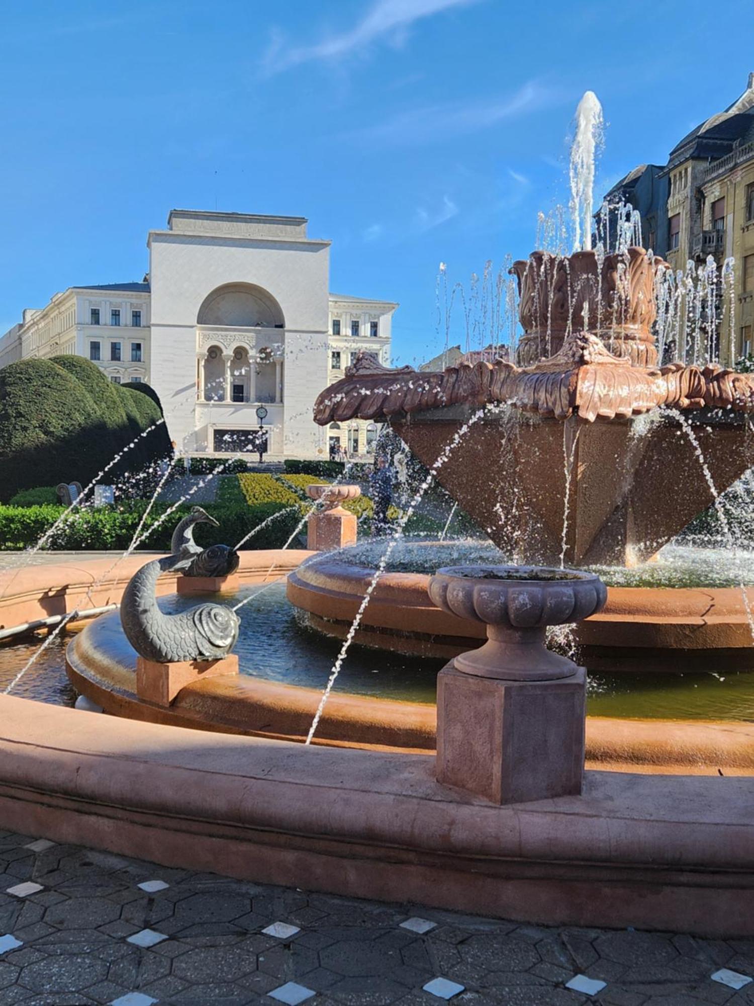 Central Terrace Escape With Jacuzzi Timisoara Exterior foto