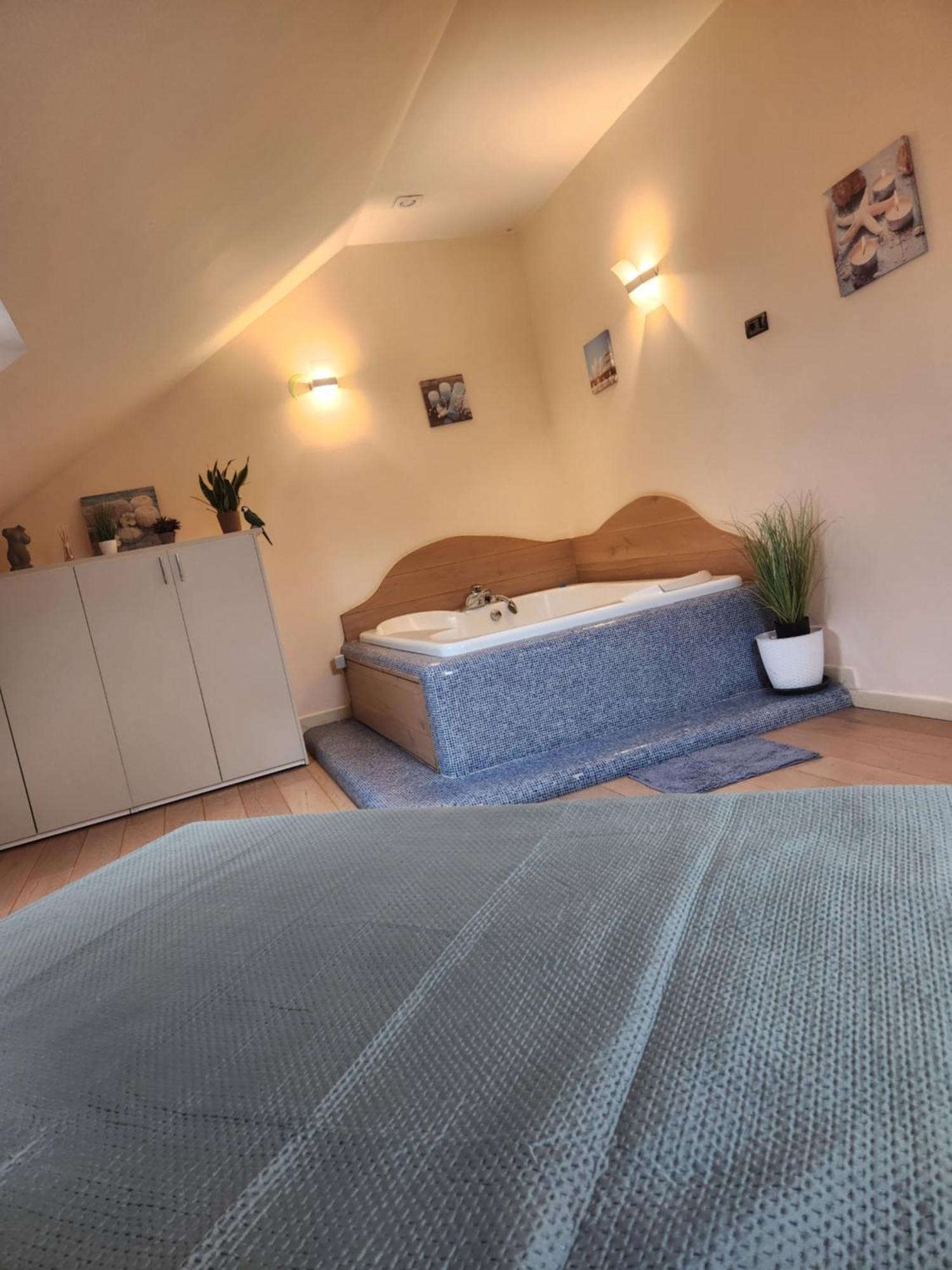 Central Terrace Escape With Jacuzzi Timisoara Exterior foto