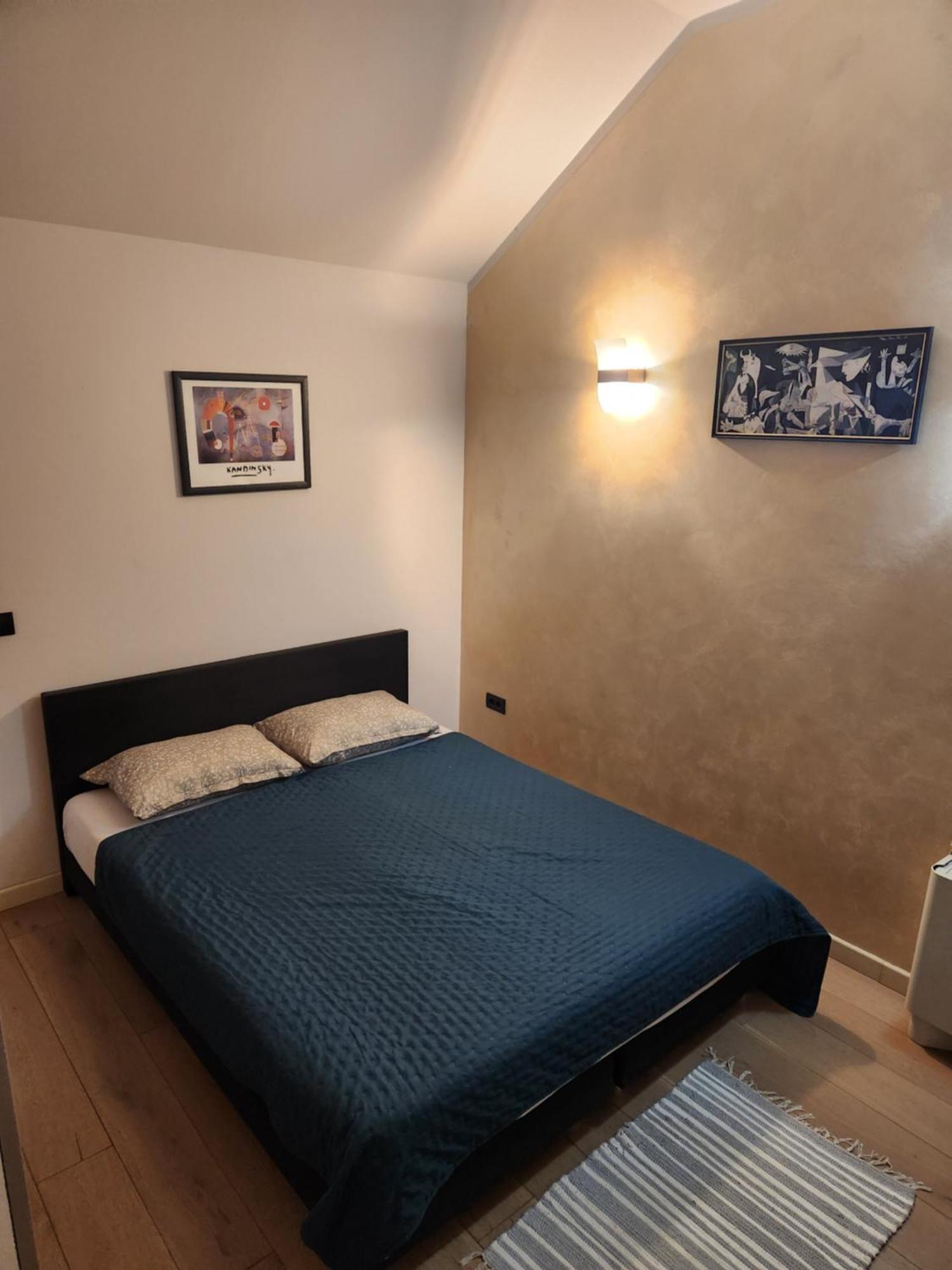 Central Terrace Escape With Jacuzzi Timisoara Exterior foto